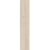 Dalle / Carrelage 30 x 120 mm - ROBUR OAT RECTIFIE /m²