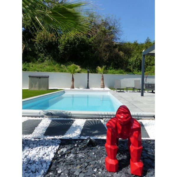Piscine 800 PLAGE - 10,50m x 4m (fond plat)